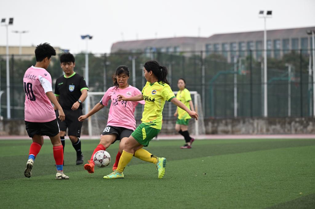 绿茵场上：女足比赛带来的全球热情