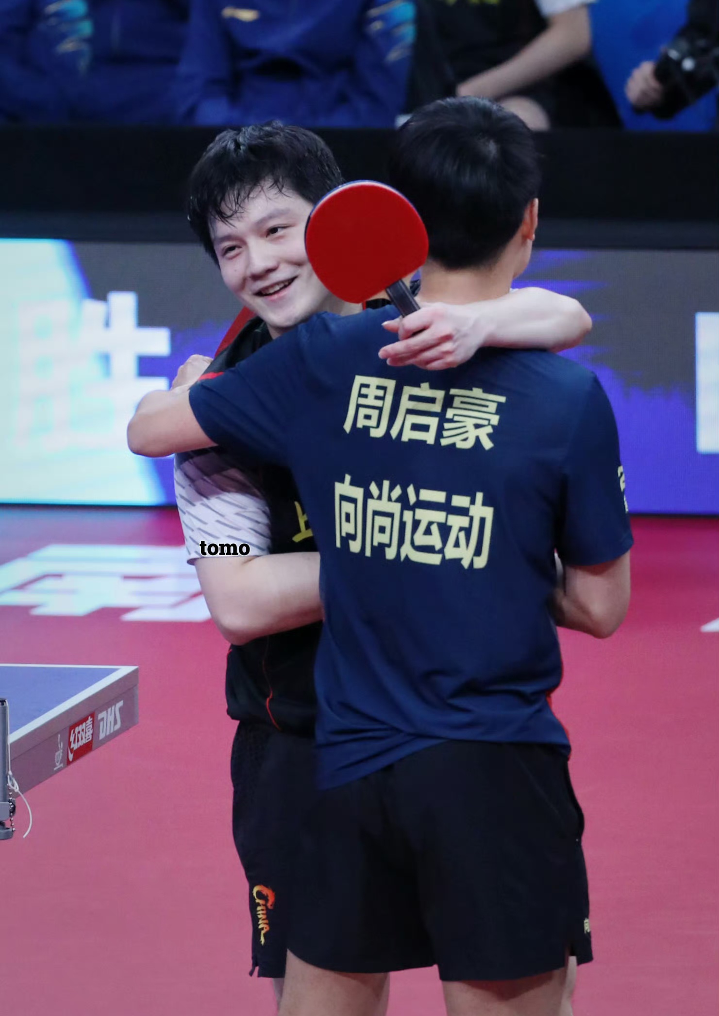 法国队完胜中国队,樊振东带队取胜 法国队完胜中国队,樊振东带队取胜