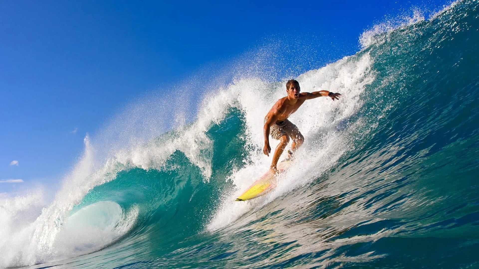 灰熊力克青岛队,张镇麟用一记死亡封盖为中国篮球正名